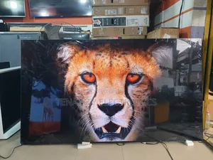 Oled Resolution Lg 77 Inches Smart Satellite Tv