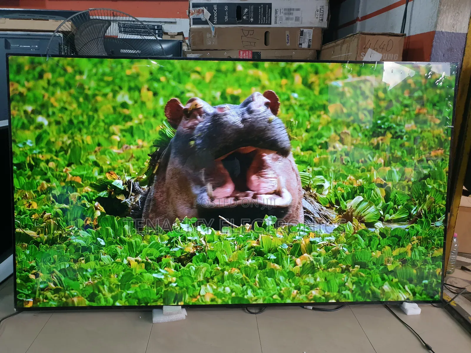Oled Resolution Lg 77 Inches Smart Satellite Tv