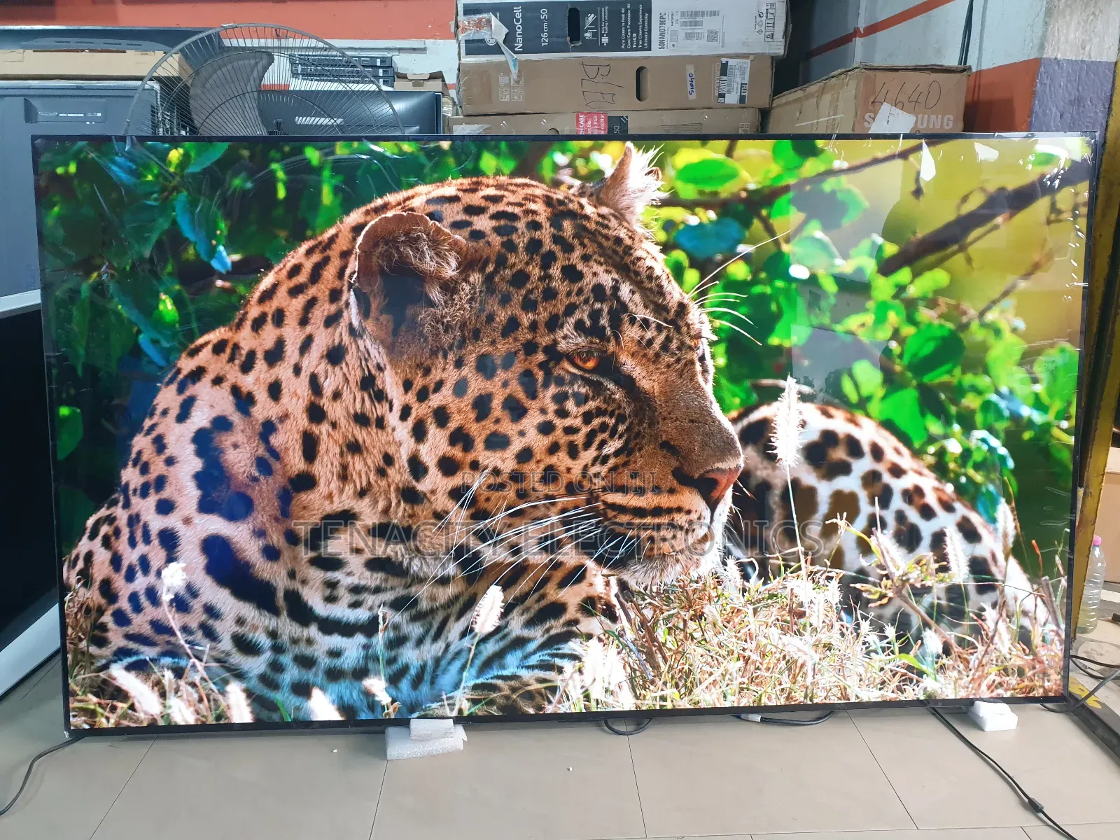 Oled Resolution Lg 77 Inches Smart Satellite Tv