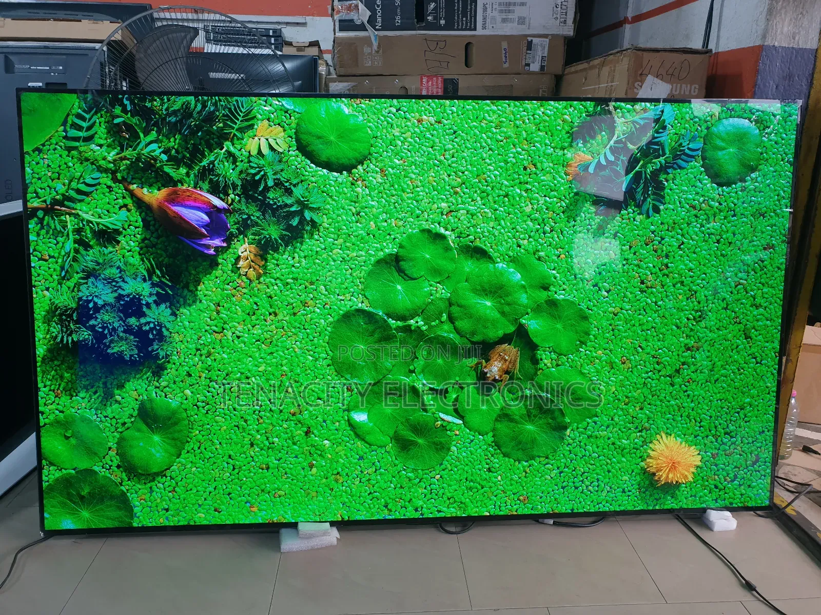 Oled Resolution Lg 77 Inches Smart Satellite Tv