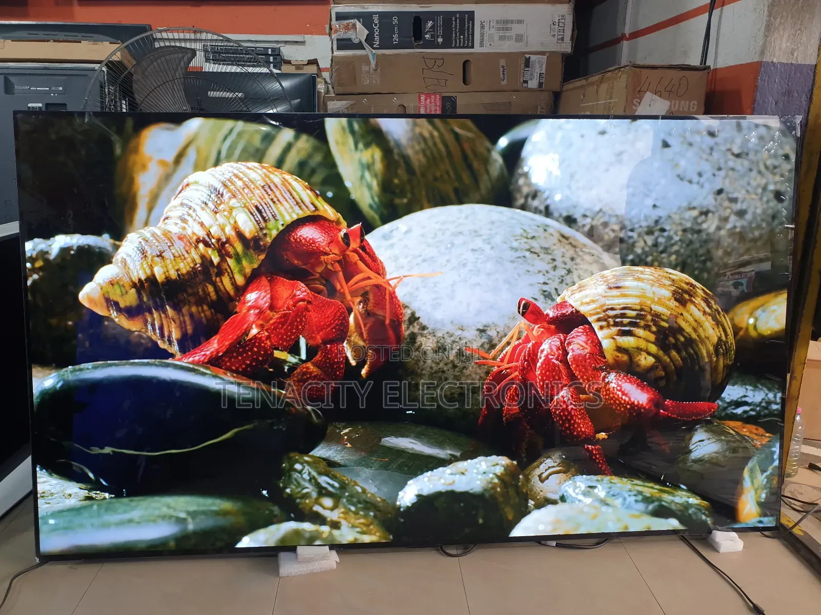 Oled Resolution Lg 77 Inches Smart Satellite Tv