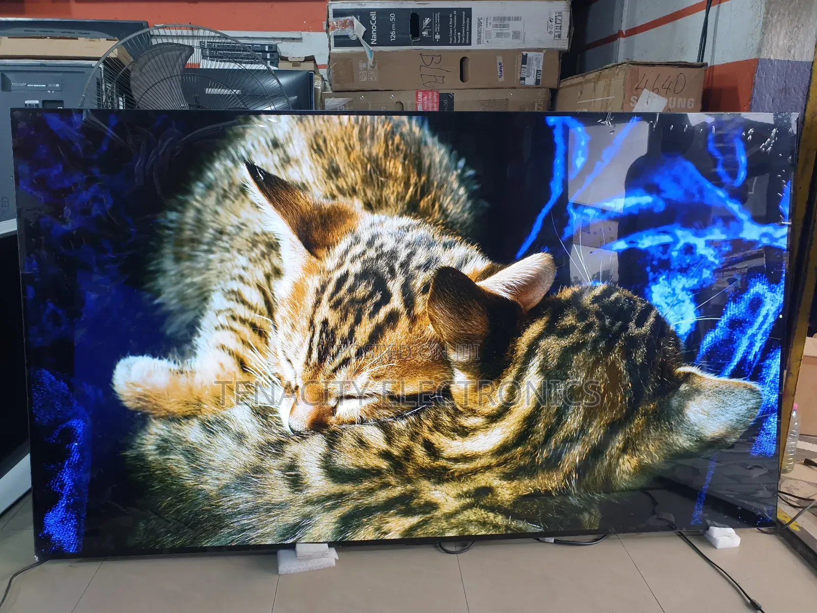Oled Resolution Lg 77 Inches Smart Satellite Tv