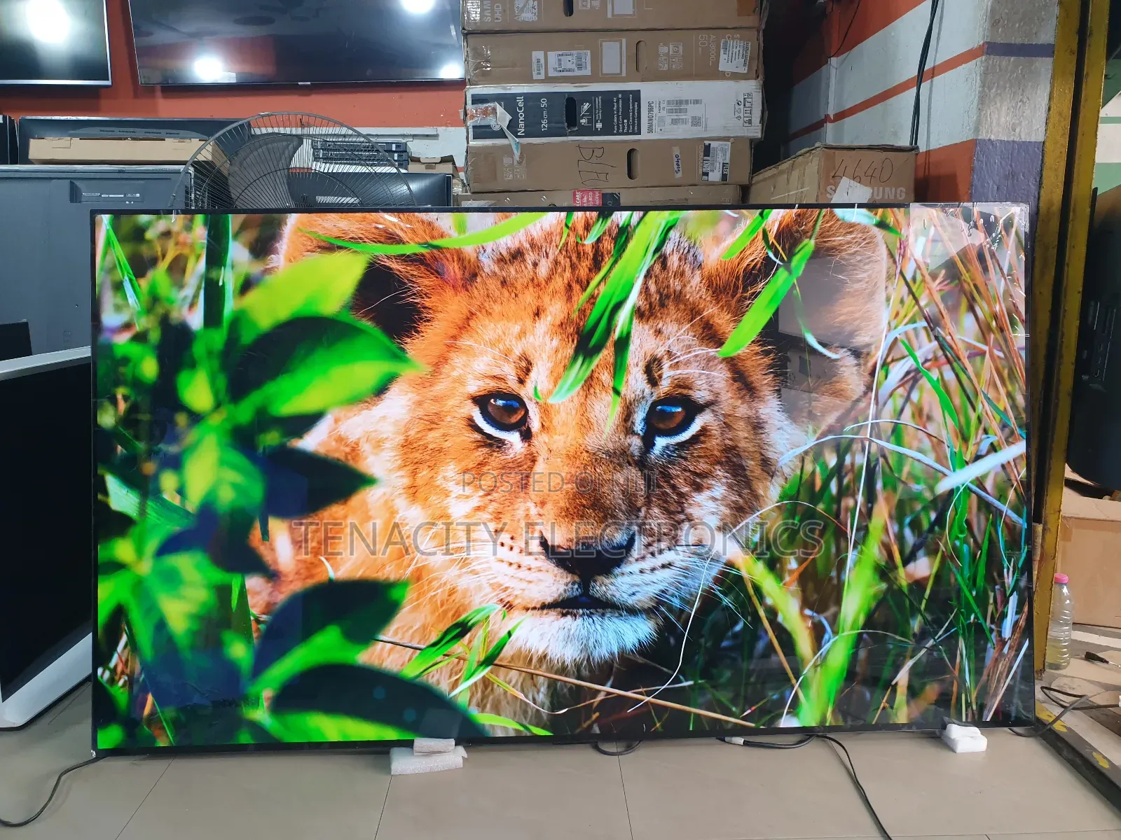 Oled Resolution Lg 77 Inches Smart Satellite Tv