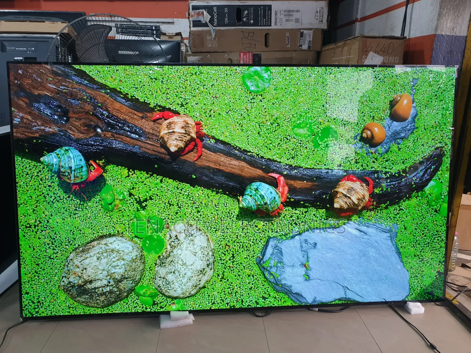 Oled Resolution Lg 77 Inches Smart Satellite Tv