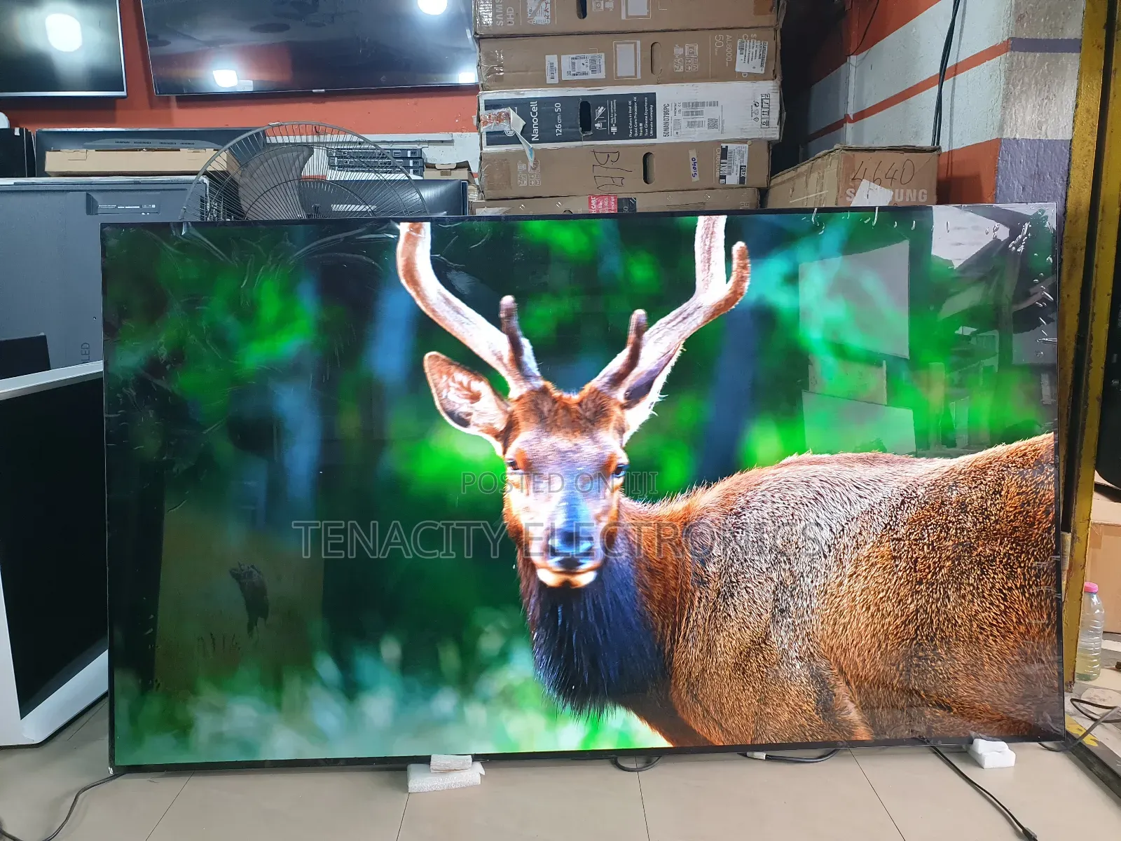 Oled Resolution Lg 77 Inches Smart Satellite Tv