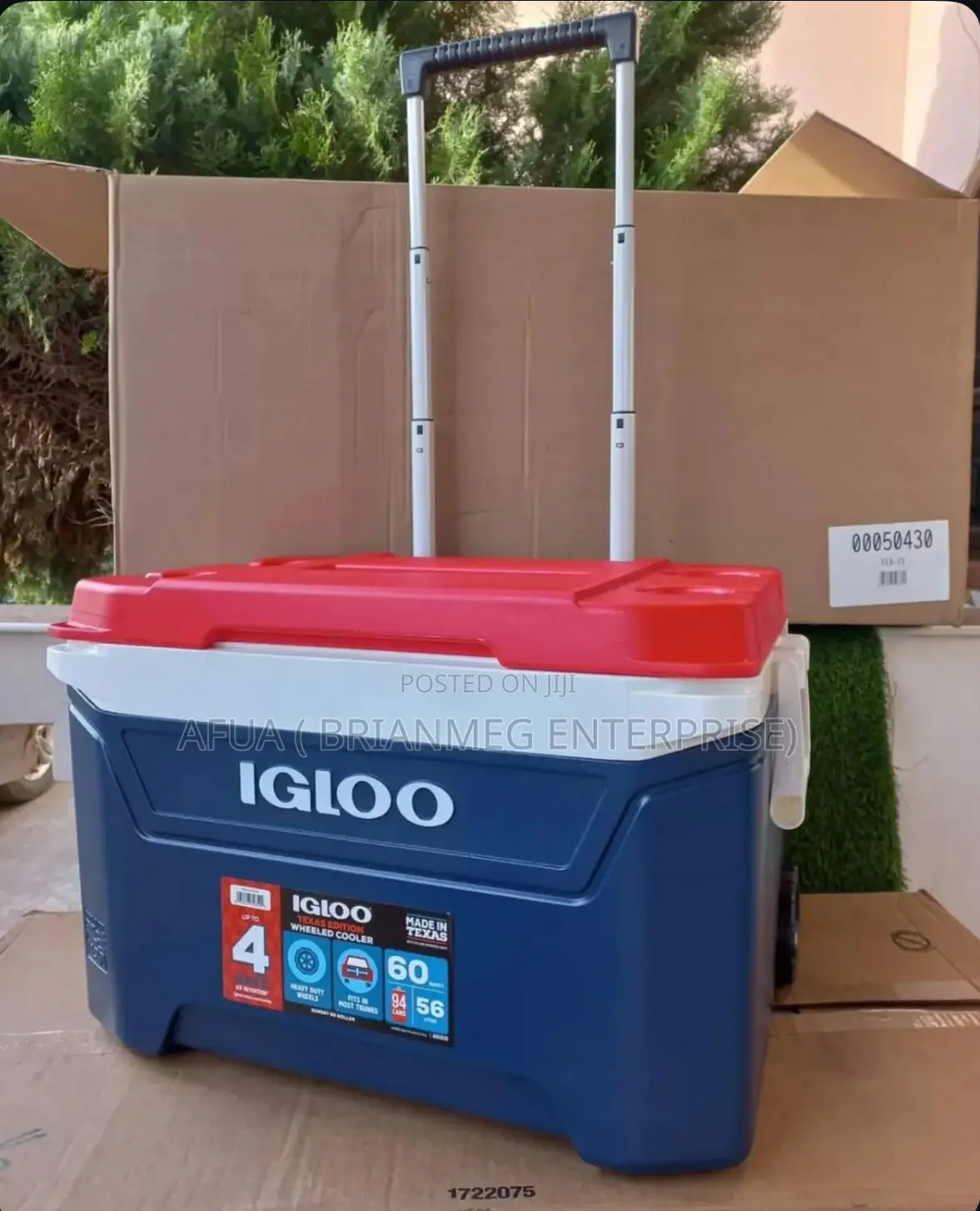 New Look Igloo 60qt Sunset Cooler Icechest Roller