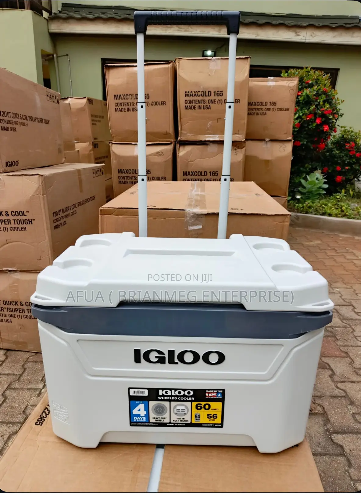 New Look Igloo 60qt Sunset Cooler Icechest Roller