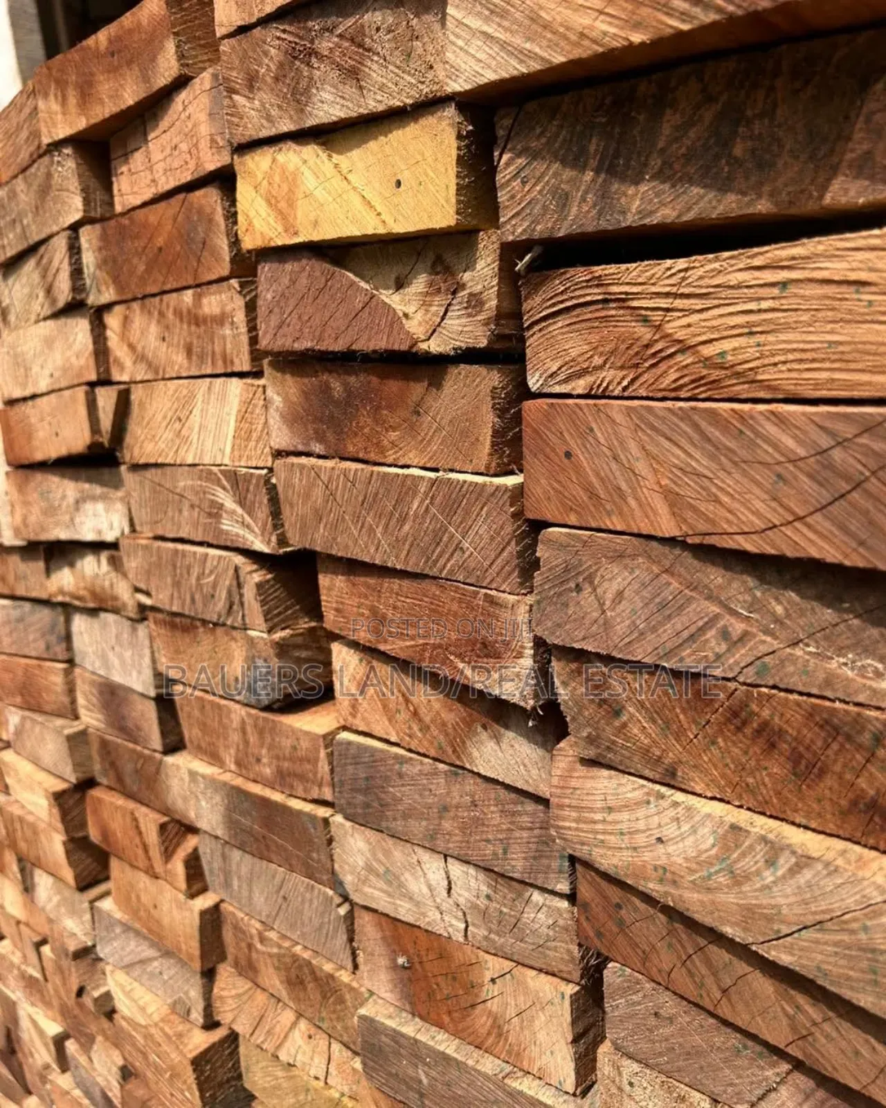 All Kinds of Wood Available