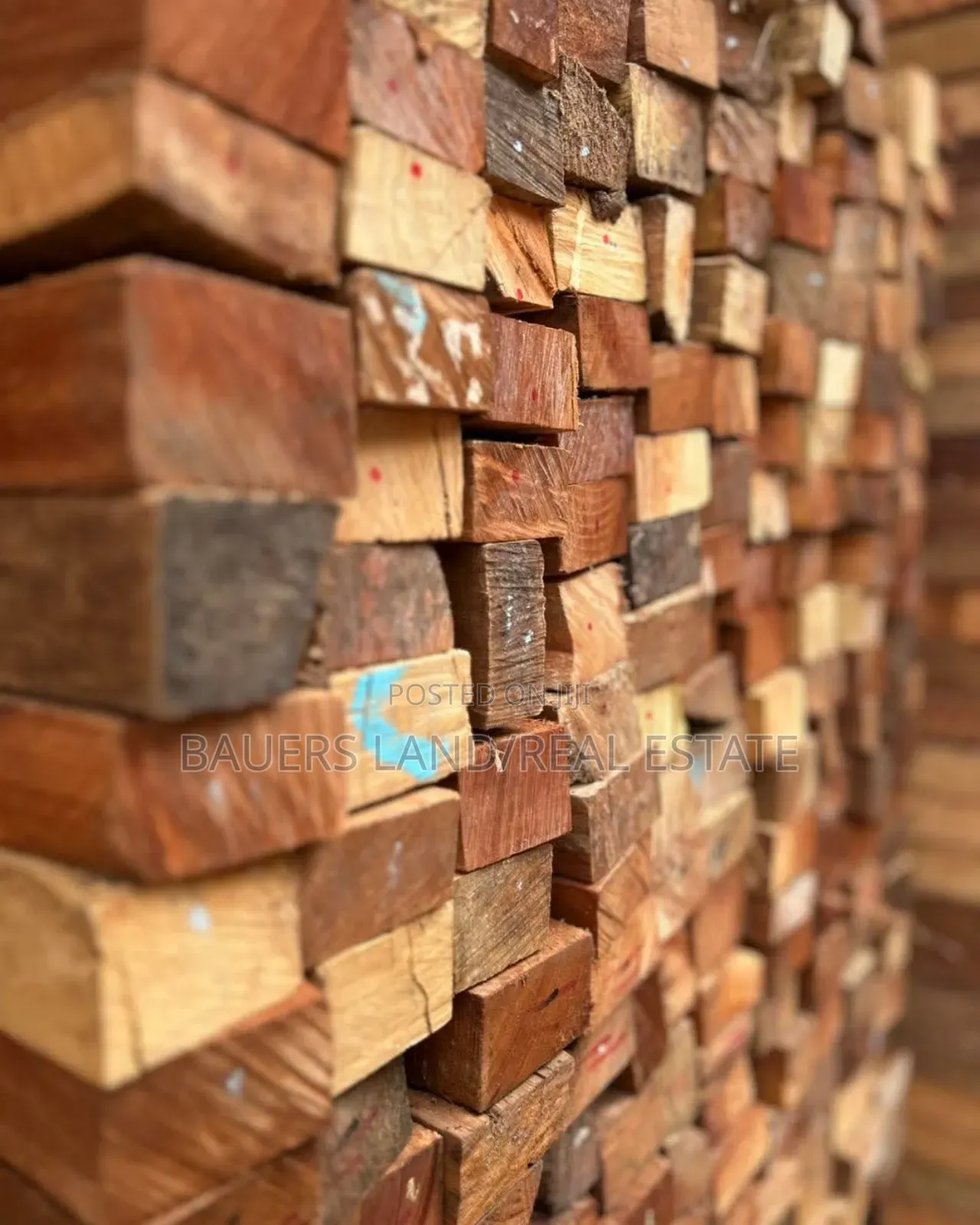 All Kinds of Wood Available