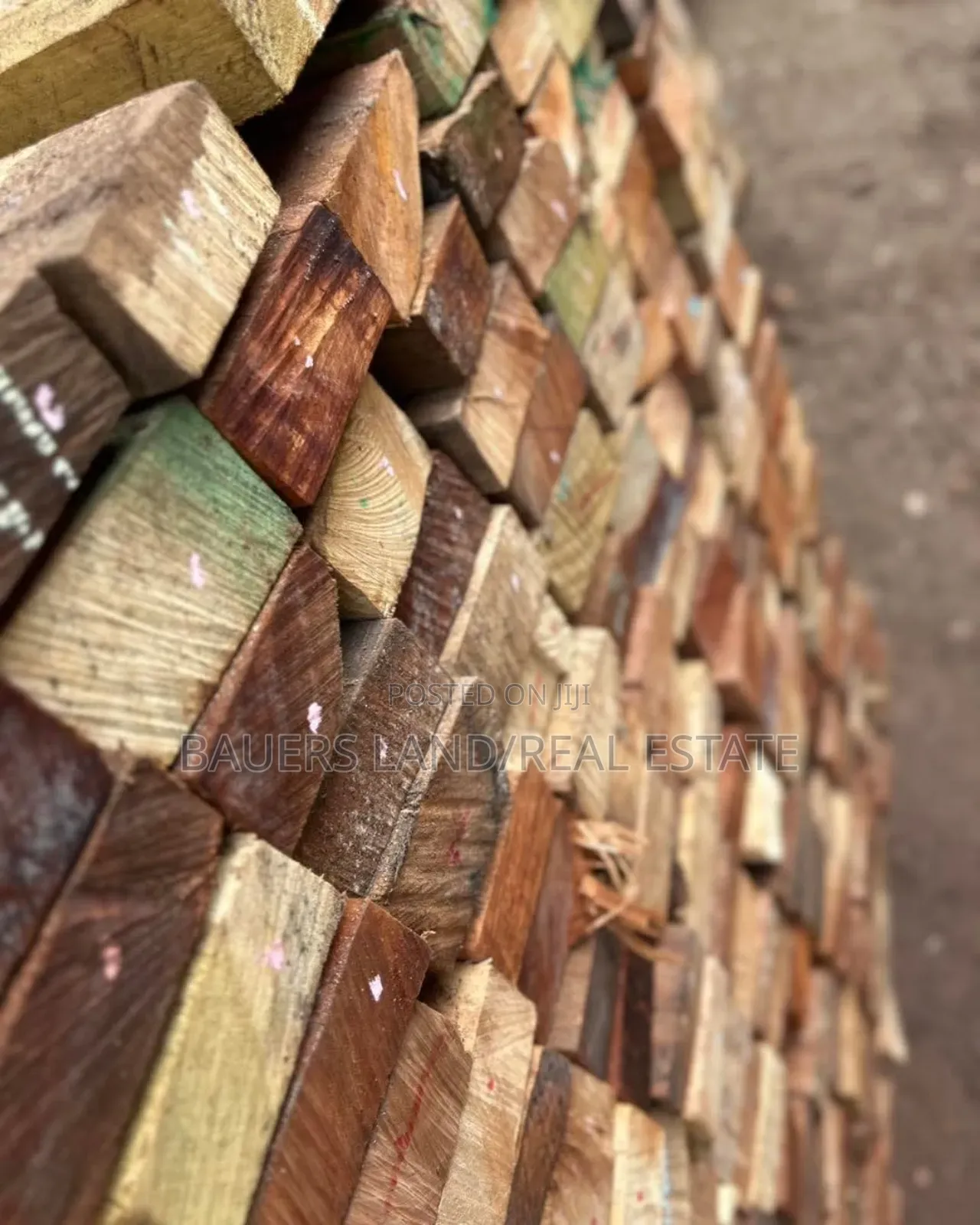All Kinds of Wood Available