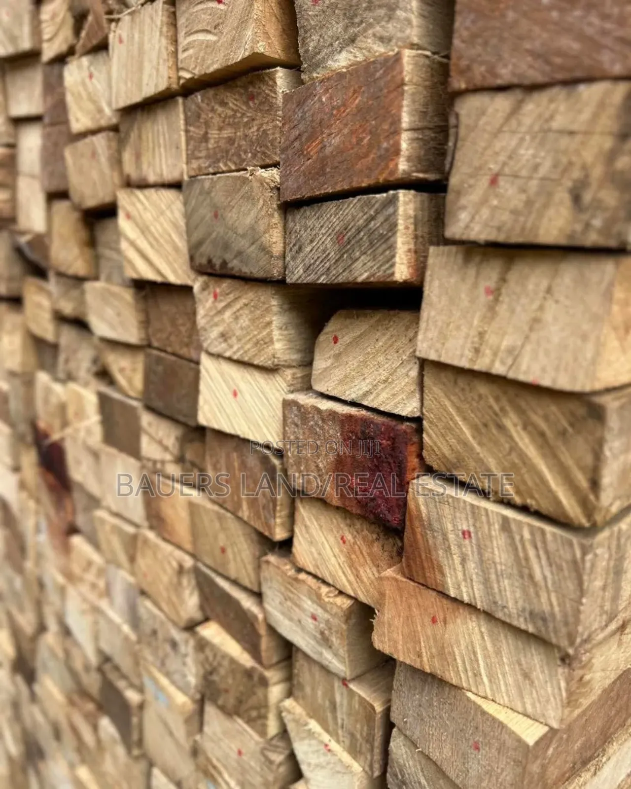 All Kinds of Wood Available