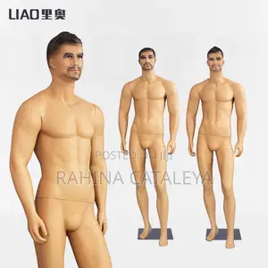 Male Full Body Mannequin