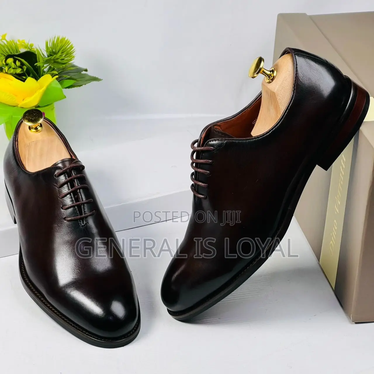 Dino Verratti Dark Coffee Lace Men Leather Shoes