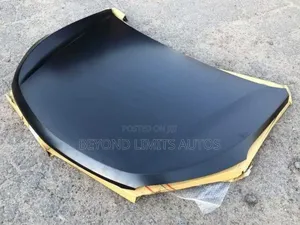 Hyundai Santa Fe 2013,2014,2015,2016,2017 Bonnet Hood