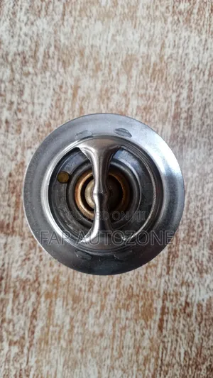 10570. Original Motorad Thermostat F150, Explorer From Usa. 655190
