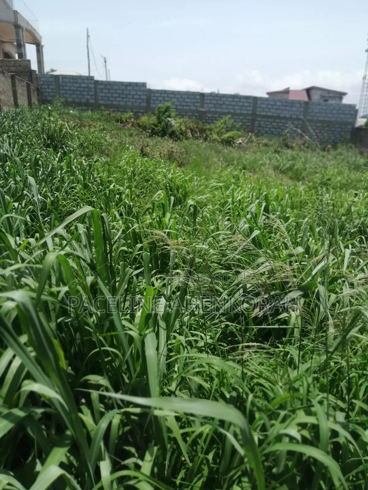 Land at Broadcasting