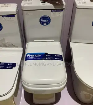 Imported Frencia Water Closet_slim Tank Toilet Seat_master Bedroom Wc