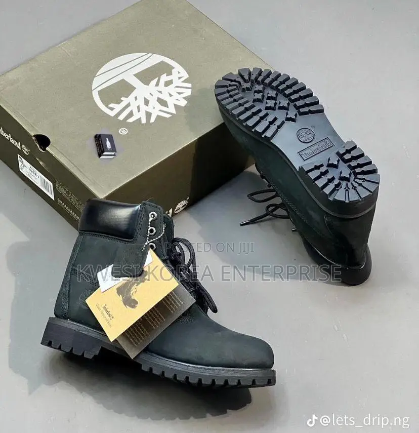 Timberland Sneaker With Box