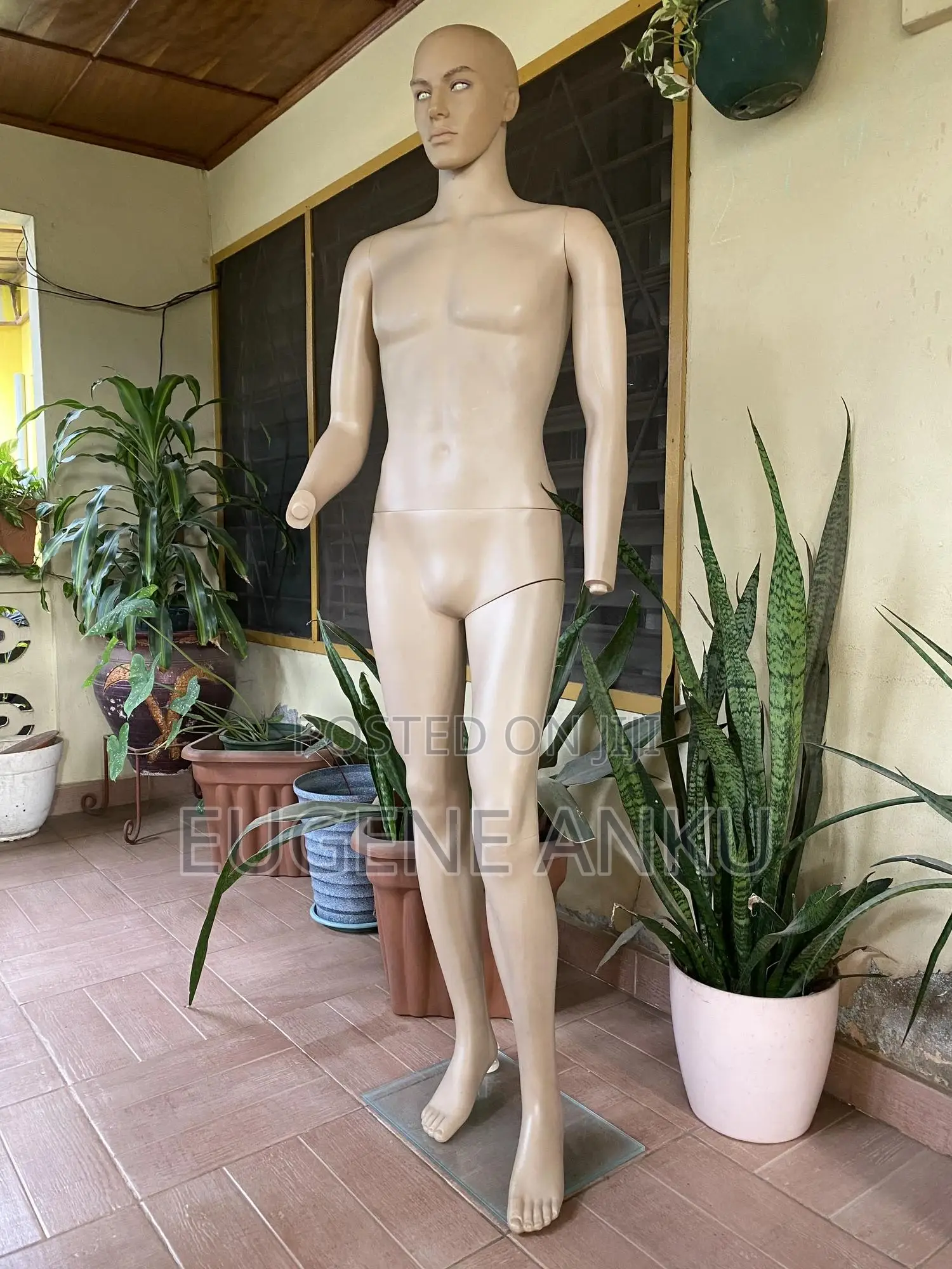 Male Mannequin