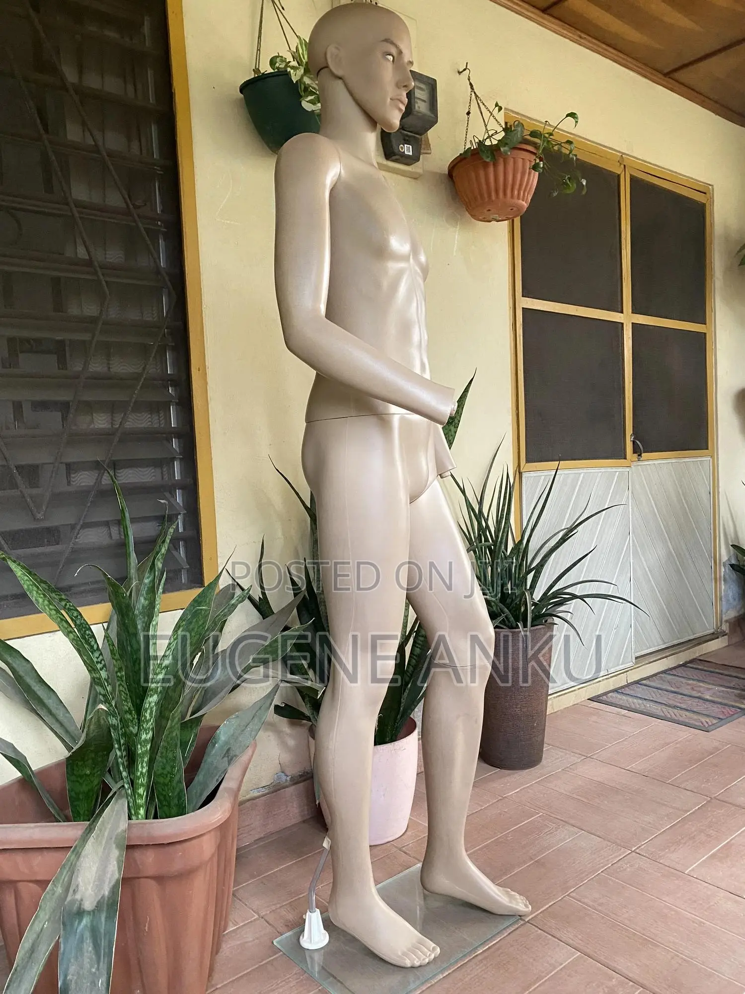 Male Mannequin