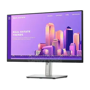 Dell Monitor P2422h 24.0 Inches