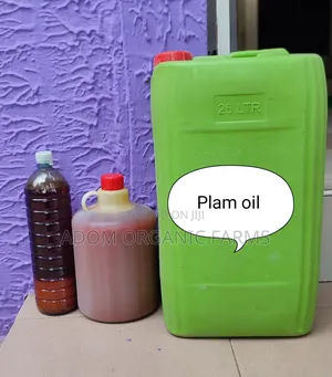 Fresh Organic Palm Oil(Zomi) From the Village