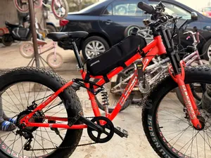 Electric Bike