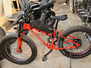 Electric Bike