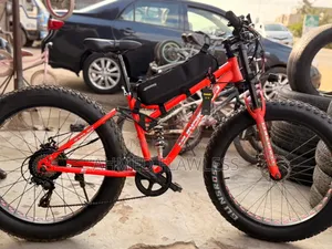 Electric Bike