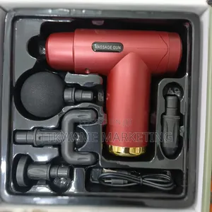 Four in One Massage Gun