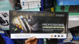 Professional Condenser Microphone
