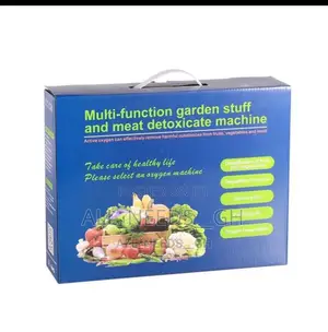 Machine Detoxification Ozone Generator Ozone Ioniser