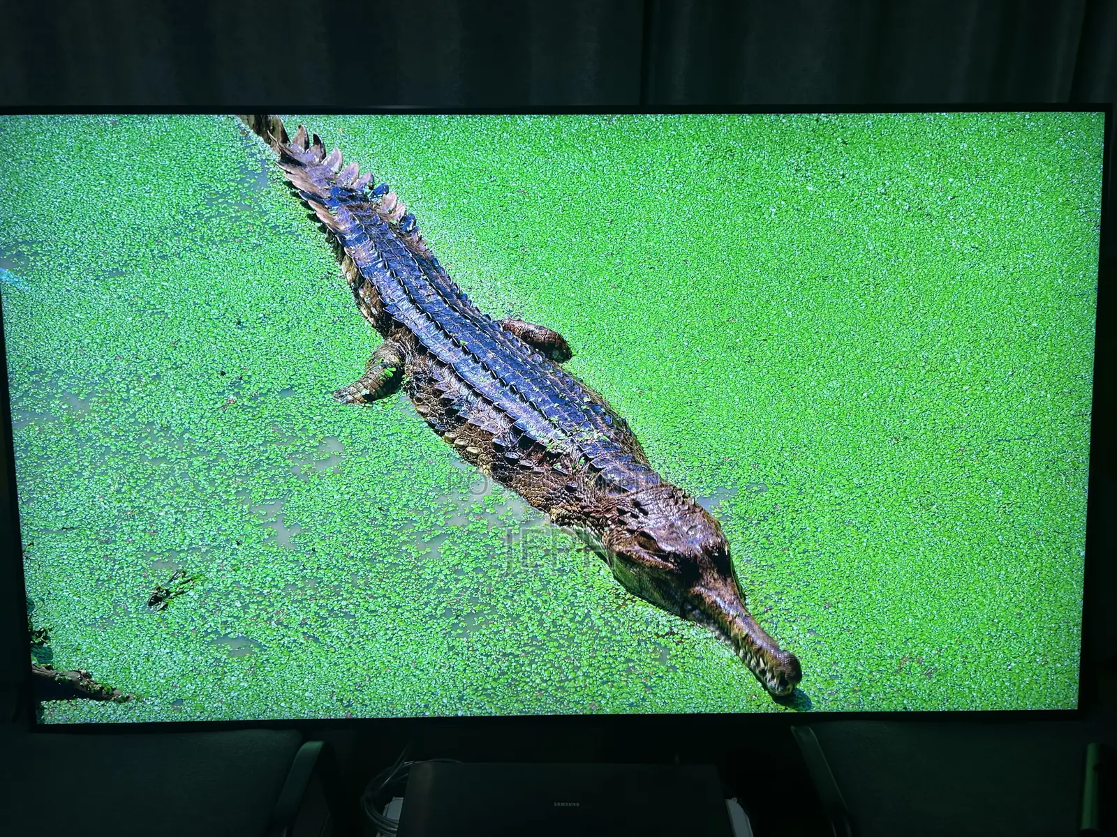 LGOLED G5 55” 165hz