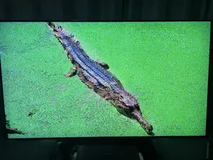 LGOLED G5 55” 165hz