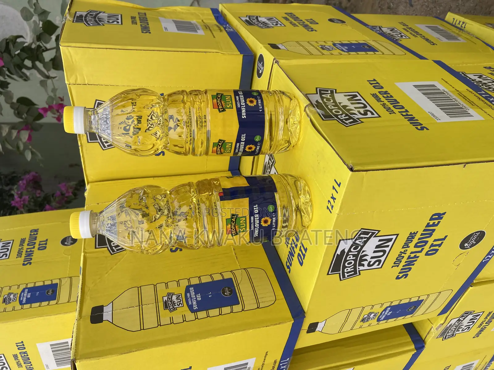 Tropical Sunflower Oil