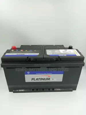 19 Plates Platinum Car Battery
