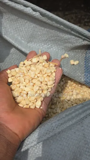 White and Yellow Maize