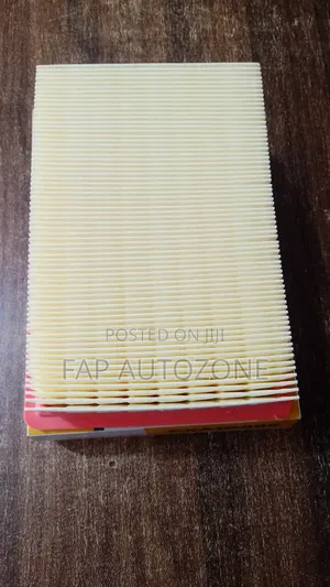 10574. Original Ford Escape Air Filter From the Usa. Pxa10095