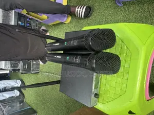 Shure Dual Microphone