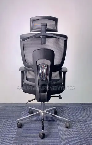 Executive Orthopedic Chair