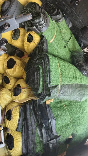 Green Carpet for Rent