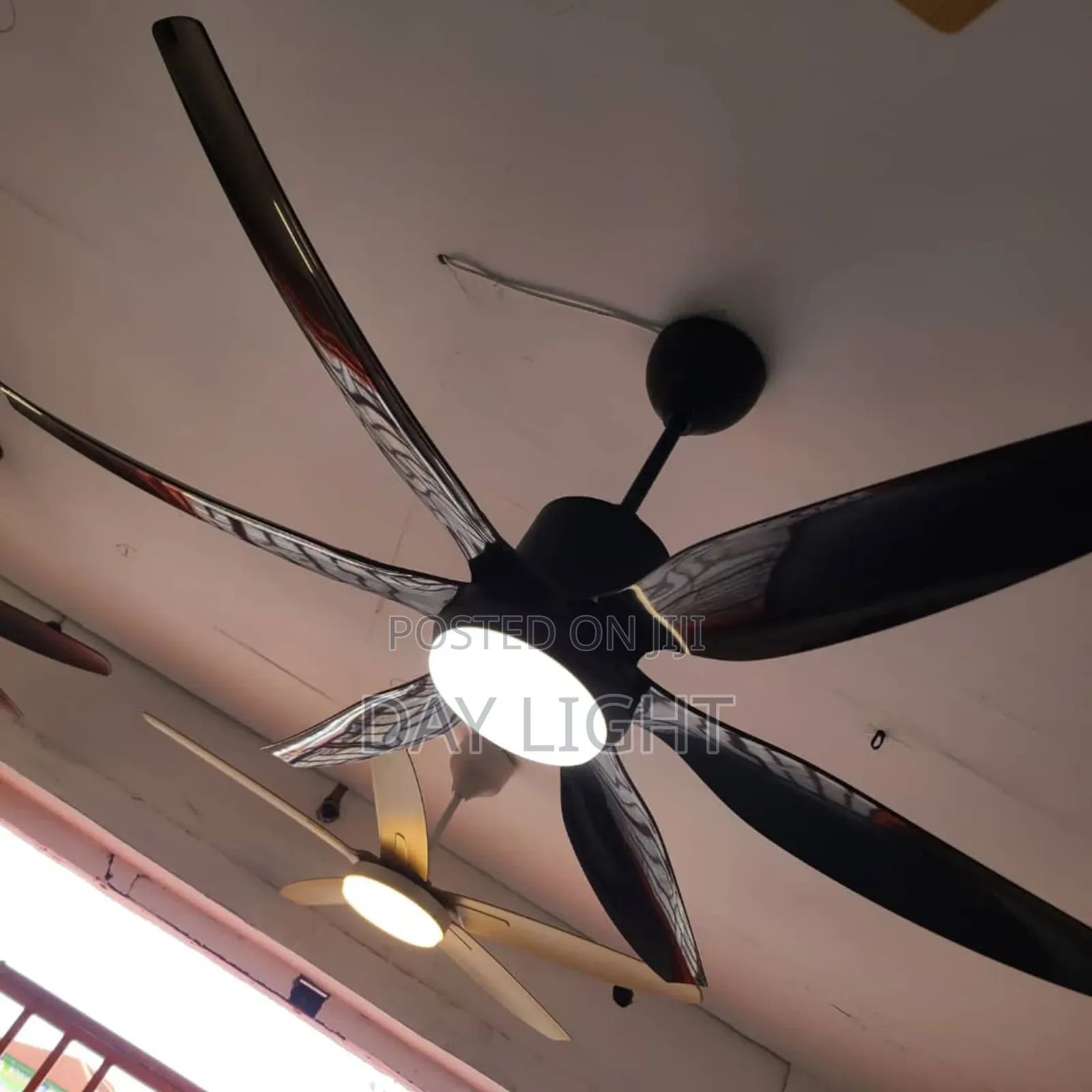 6 Blade Remote Control Black Body Ceiling Fan With Light