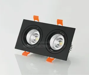 Spot Light Double Recessed
