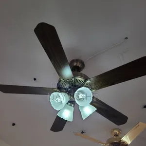 Luxurious Daylight Fan With Light.