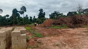 Plots Of Land For Residence/Farmland