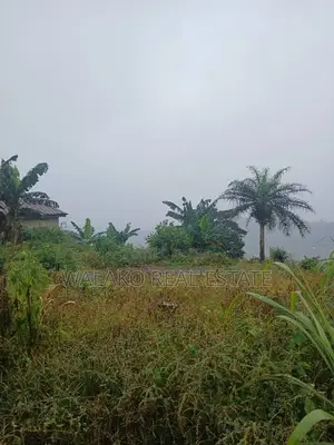 2 and Half Plot of Land