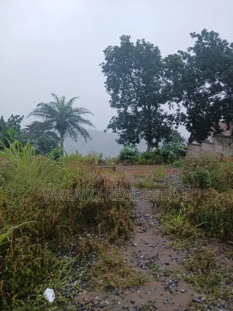 2 and Half Plot of Land