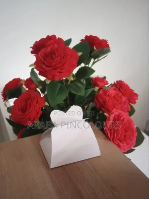 Cake Boxes