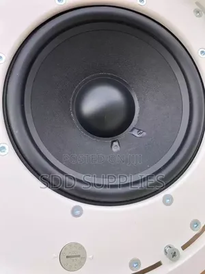 Industrial Heavy Duty JBL Control 40cs/T Ceiling Subwoofer