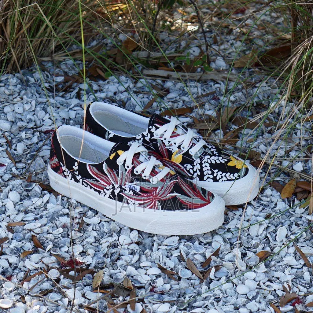 Vans Low( 40-45)